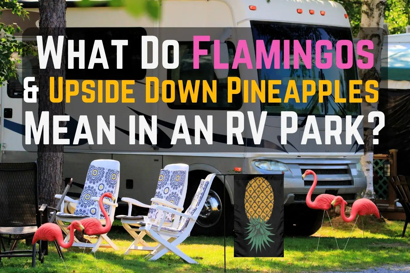 what do flamingos and upside down pineapples mean in an RV park?