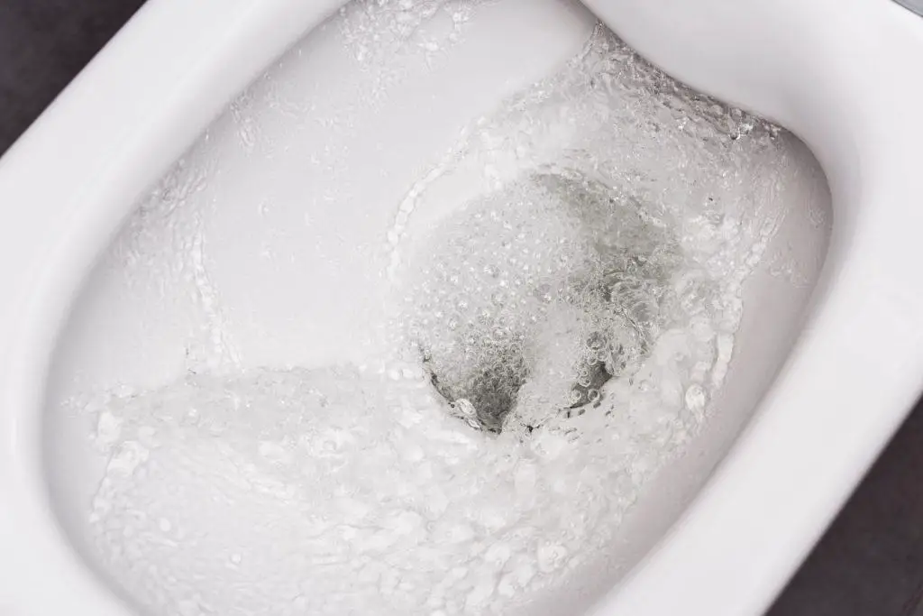 Residential toilets use more water than RV toilets per flush